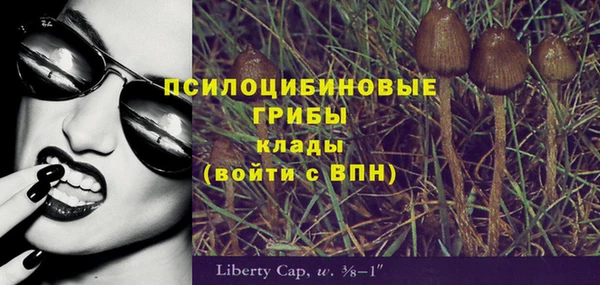 индика Каменск-Шахтинский