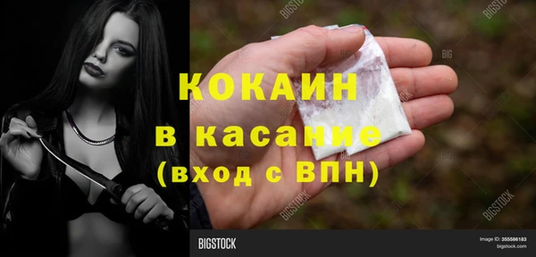 индика Каменск-Шахтинский