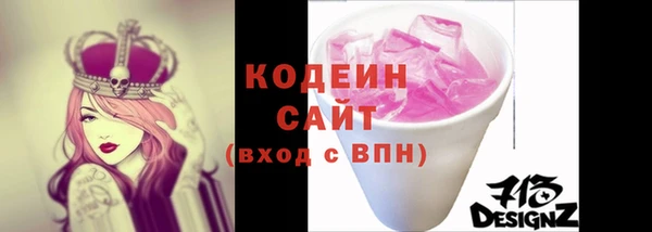 индика Каменск-Шахтинский