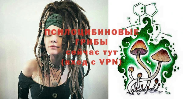 кокаин Каменка