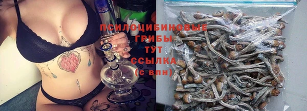 кокаин Каменка