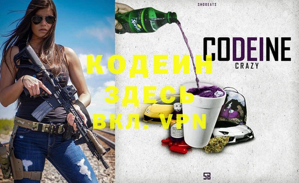 индика Каменск-Шахтинский