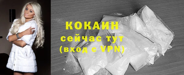 индика Каменск-Шахтинский