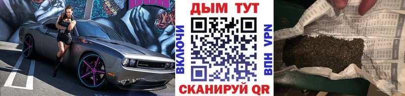 Конопля SATIVA & INDICA  Купить  Куйбышев 